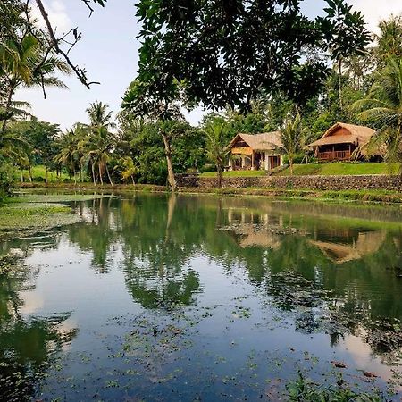 Alam Taman Villa Табанан Экстерьер фото
