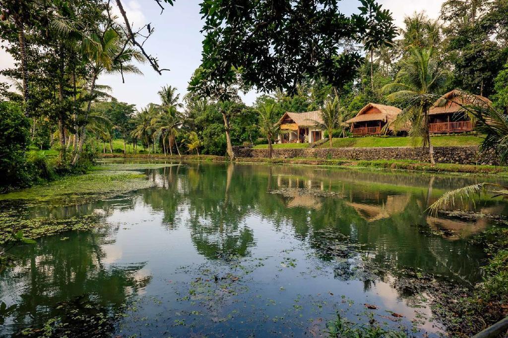 Alam Taman Villa Табанан Экстерьер фото