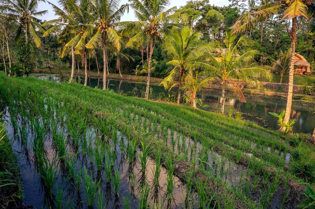 Alam Taman Villa Табанан Экстерьер фото