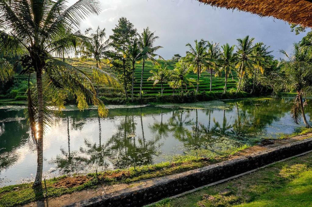 Alam Taman Villa Табанан Экстерьер фото