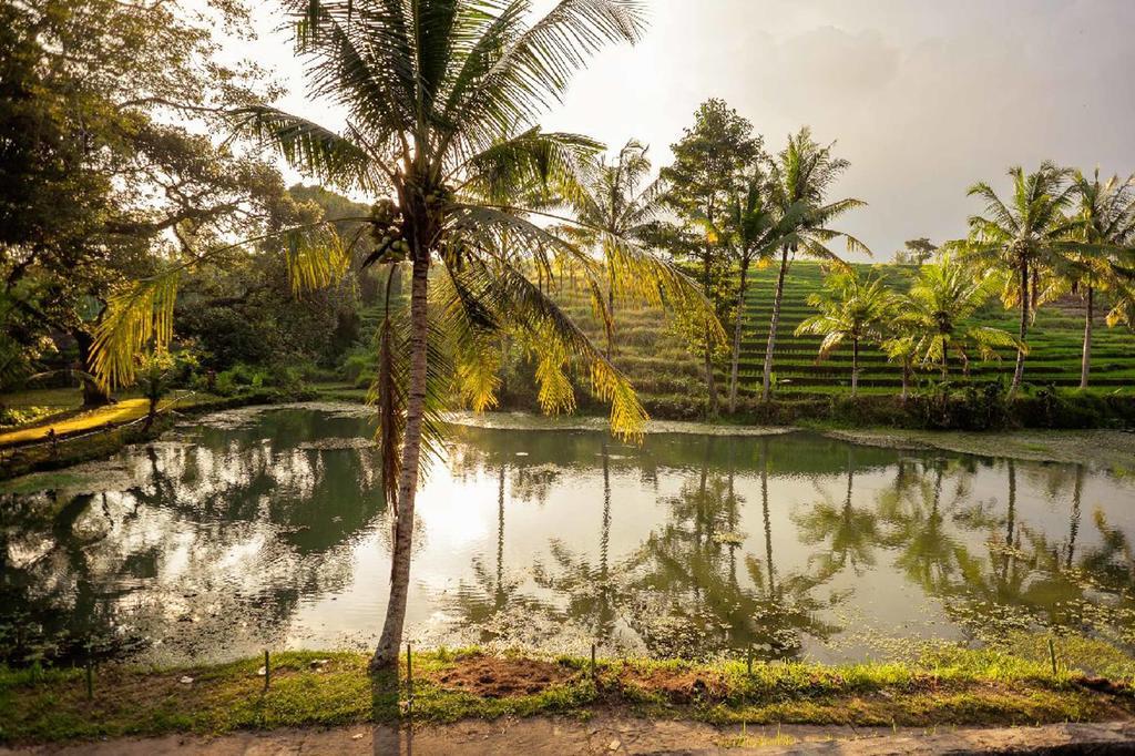 Alam Taman Villa Табанан Экстерьер фото